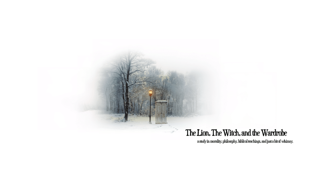 LionWitchWardrobeCover